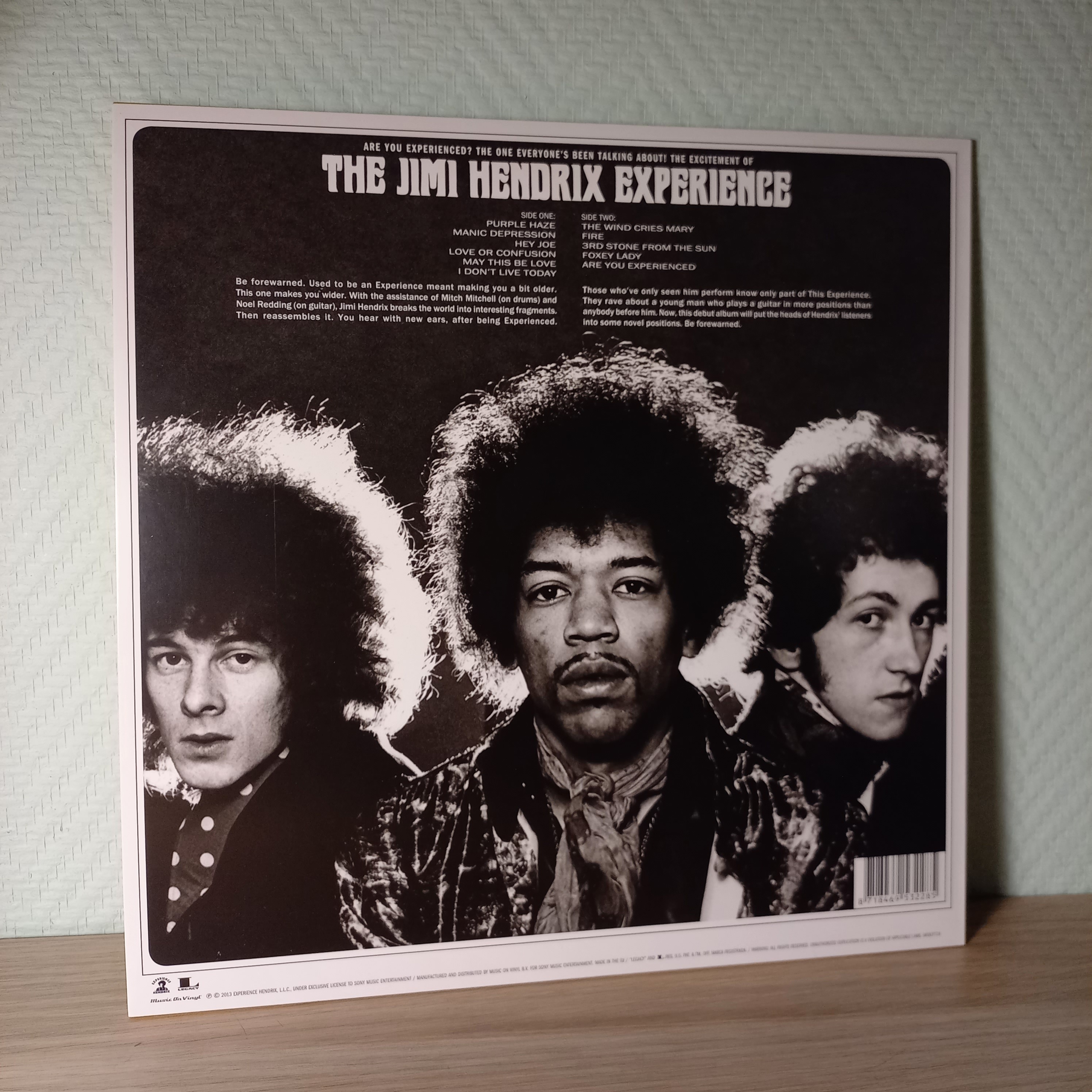 Are You Experienced Задник